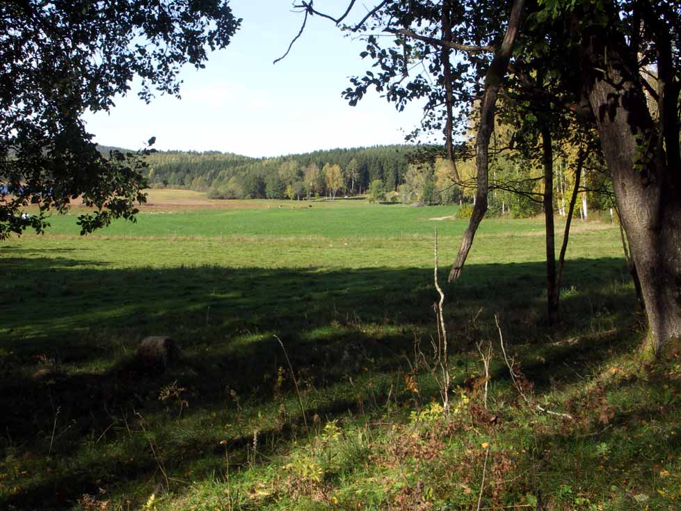 Bergs Gård