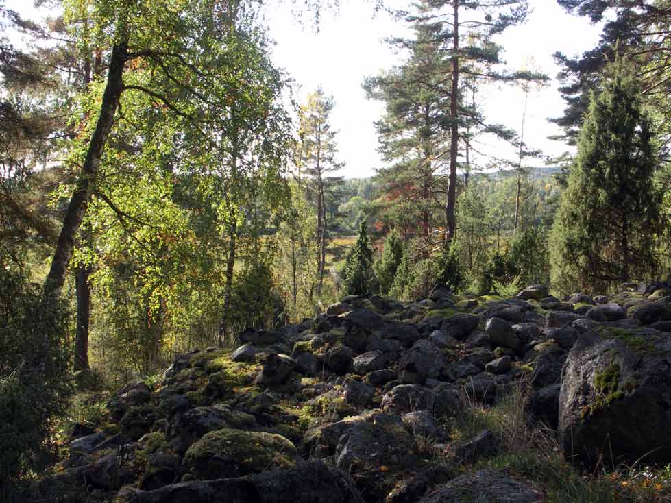 bergs gård gravfält