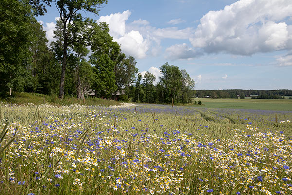 von Echstedtska Gården