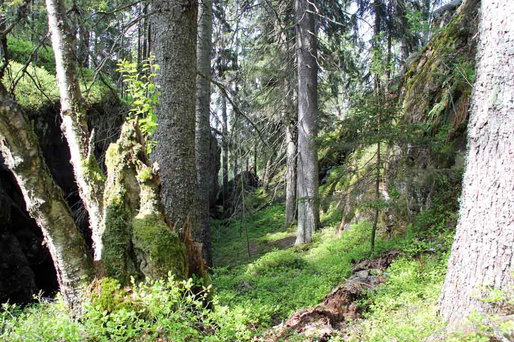 Kloften