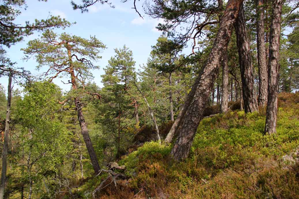 kloften naturreservat