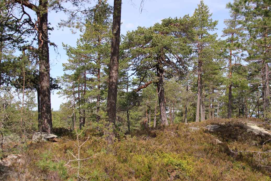 kloften naturreservat