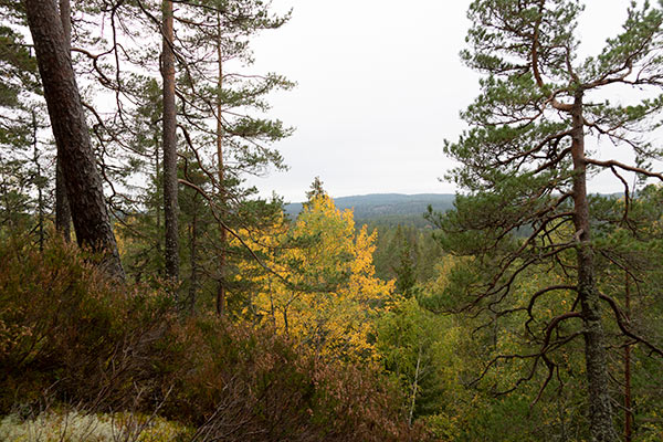 kloften