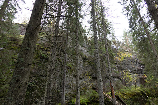 bergsbrant