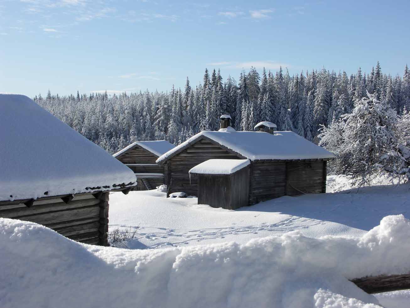 Ritamäki vinter