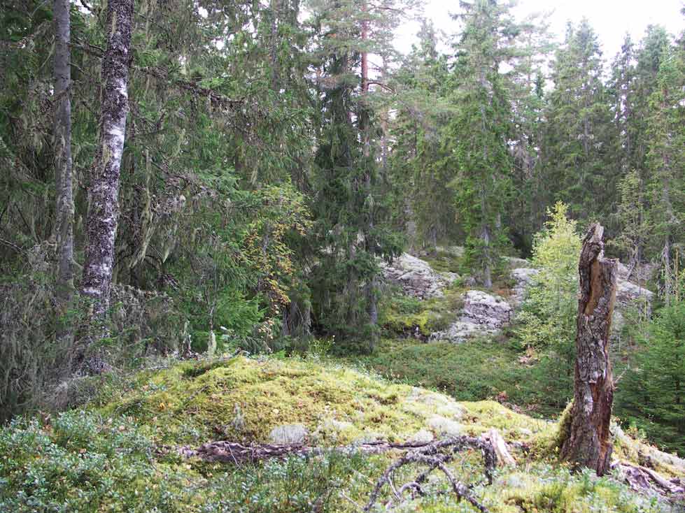 skutan naturreservat