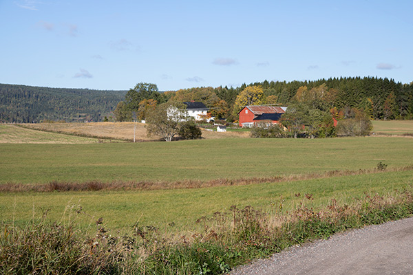 järnskog