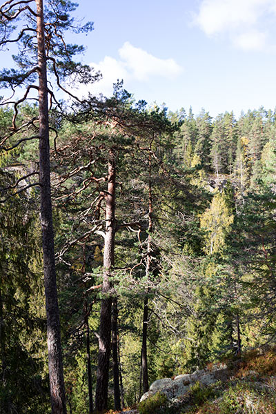 skutan naturreservat