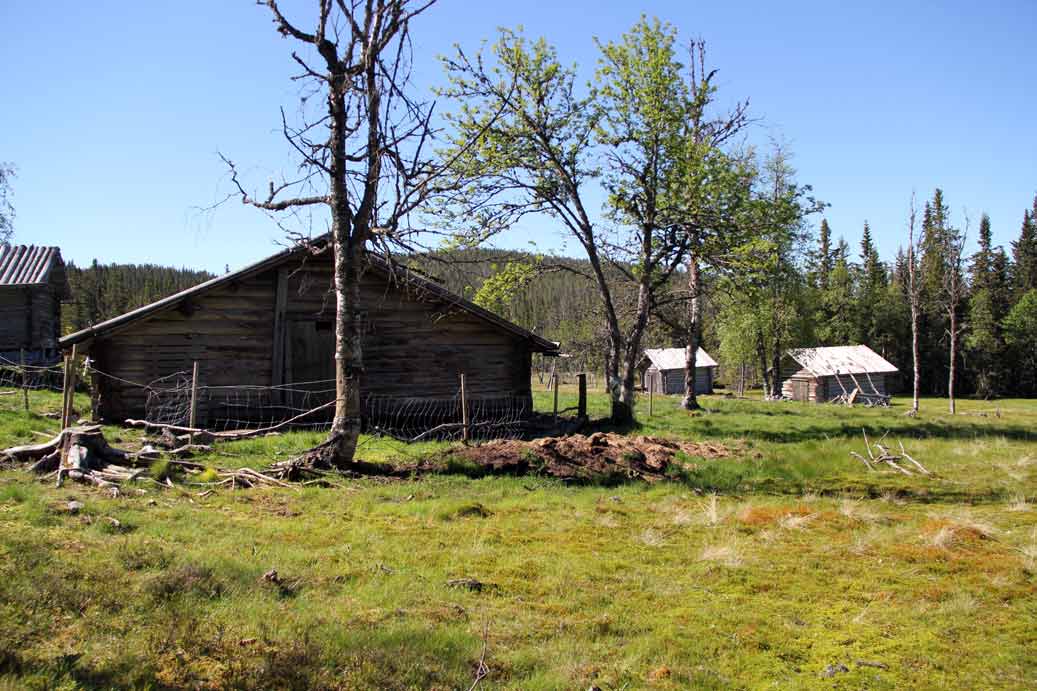 vardsätern