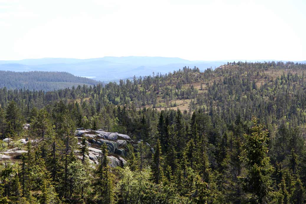 tandövarden