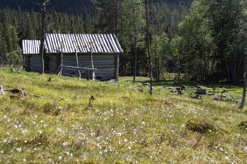 fäbod