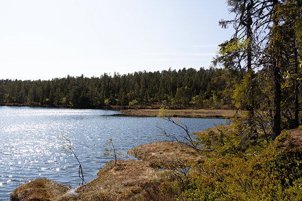 naturreservat
