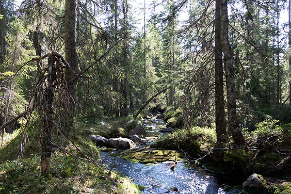 tandövala