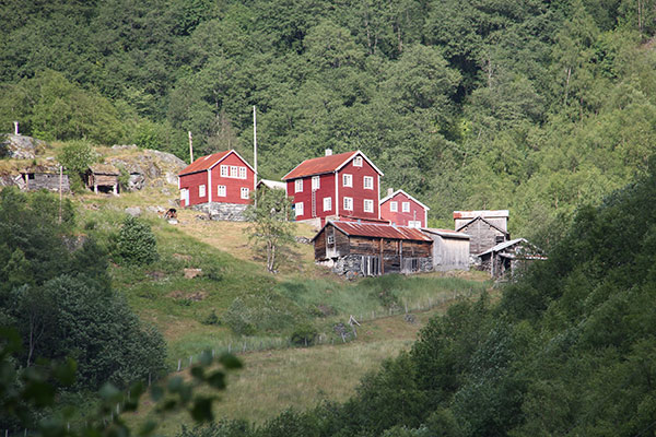vetti gard