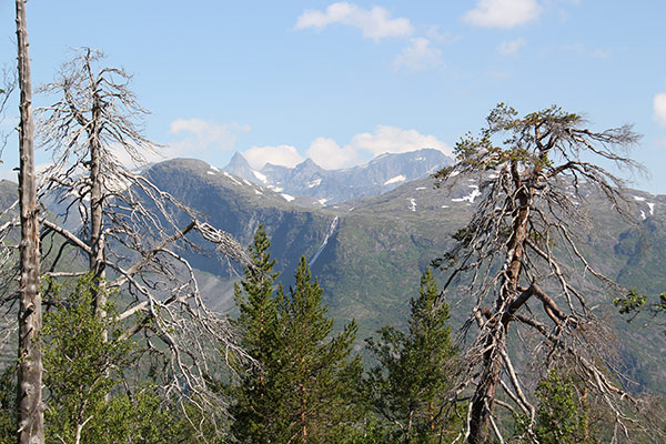 vettismorki