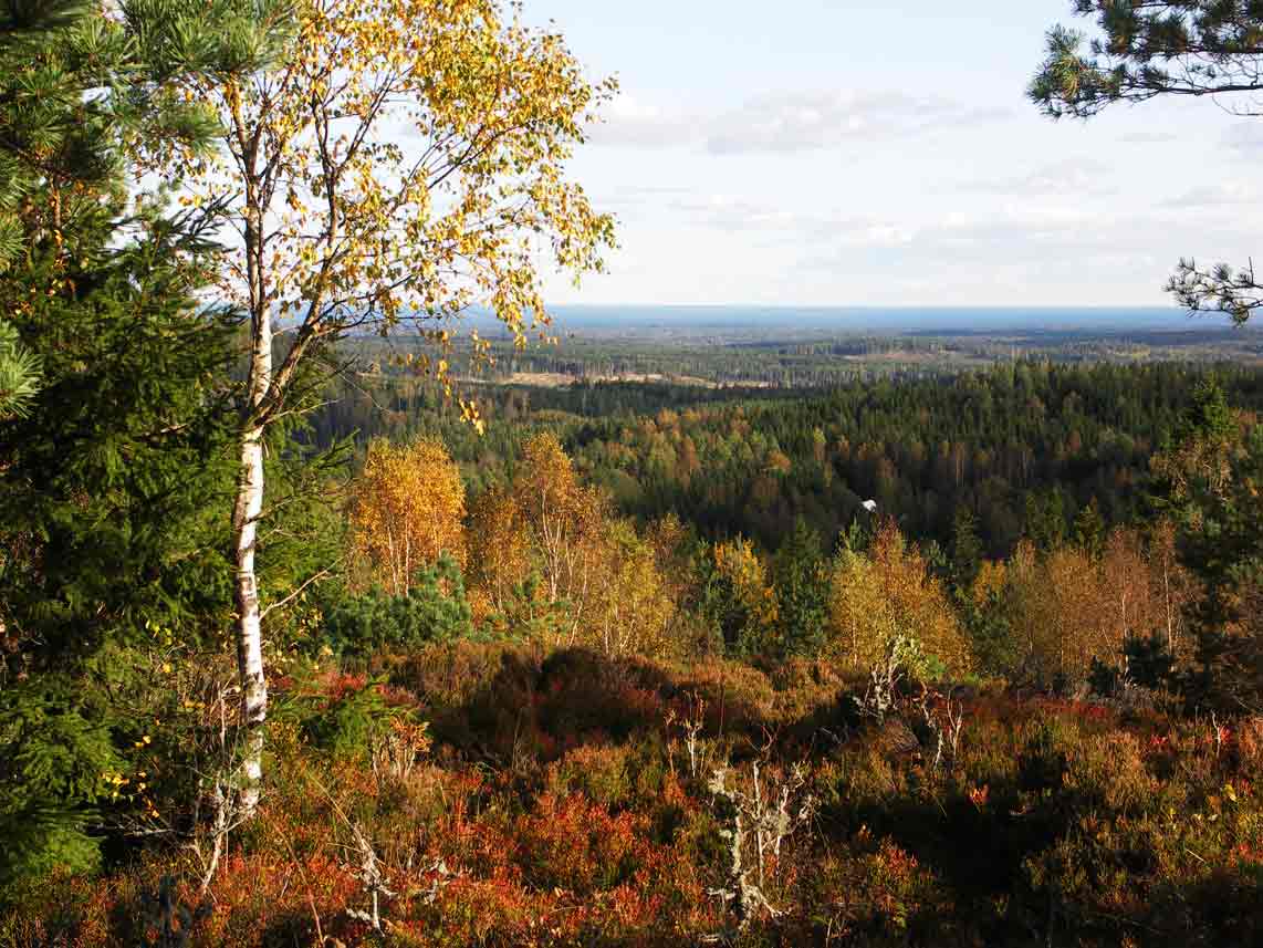 utsikt baljåsen