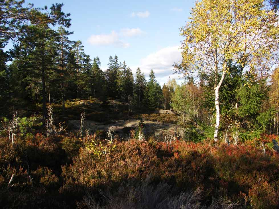 baljåsen