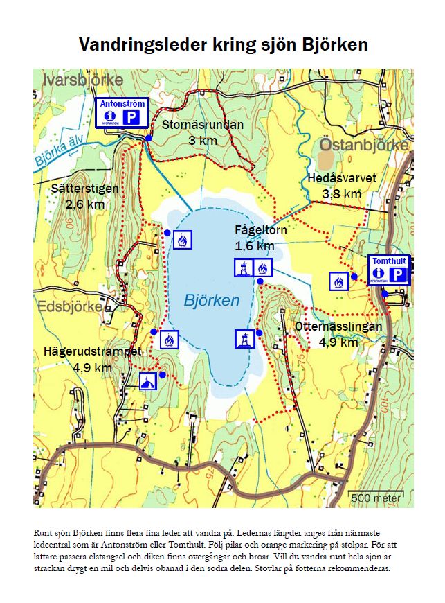 Björken