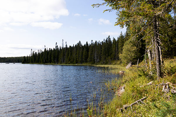 brånberget