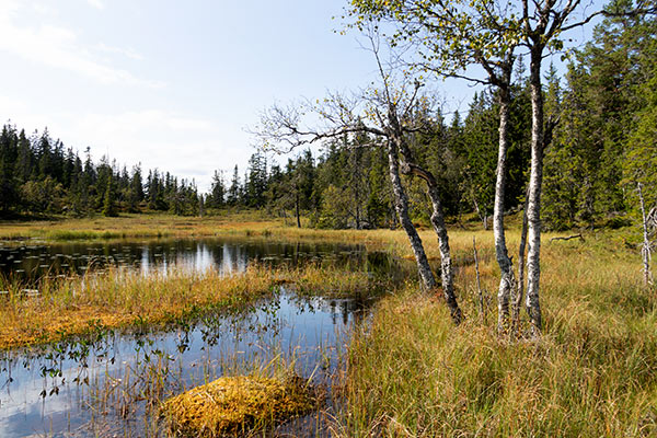 brånberget