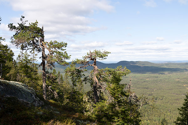 norra värmland