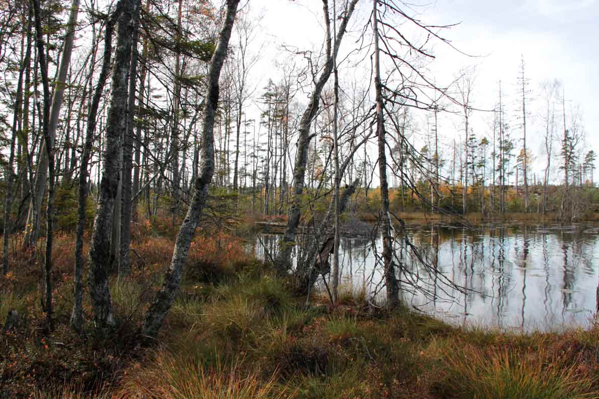brännans naturreservat