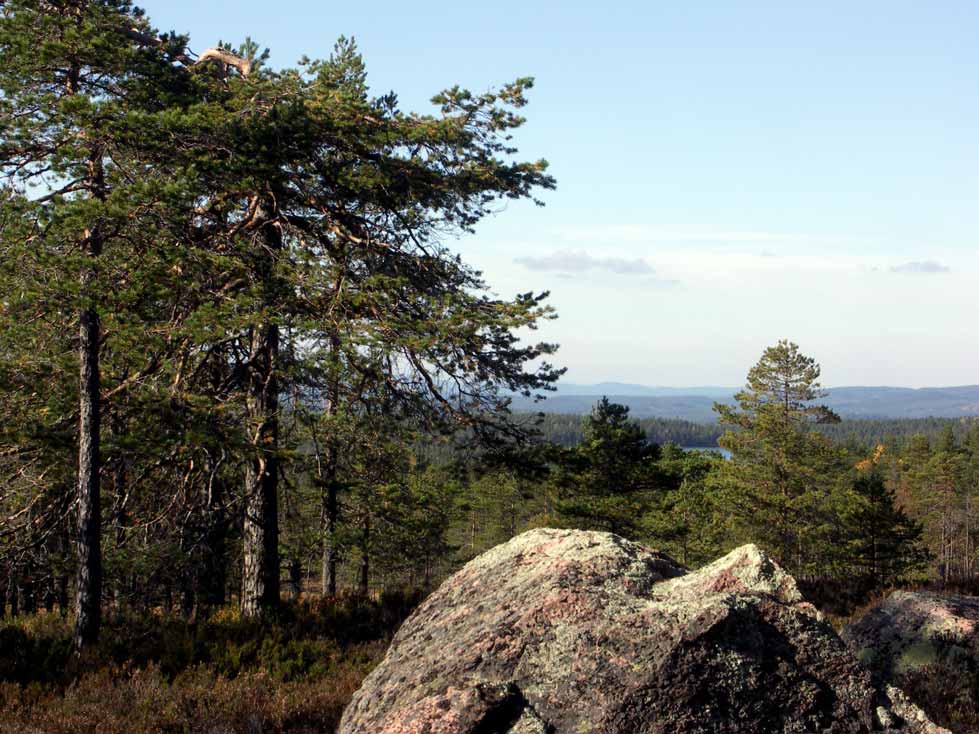 Danshallsmyren med utsikt emot norge