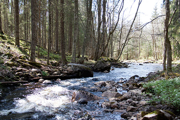 gatefjällsbranten