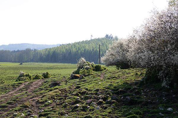 gillbergasjön