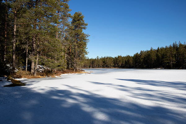 glaskogens naturreservat