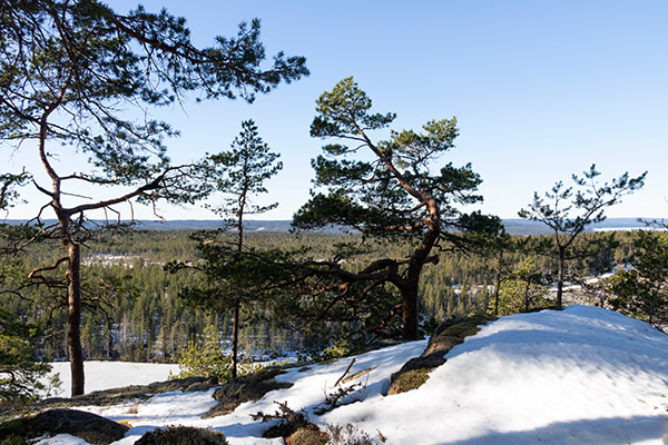 rödvattensberget