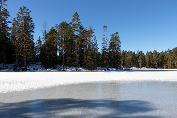 glaskogen