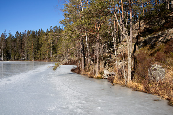 glaskogen