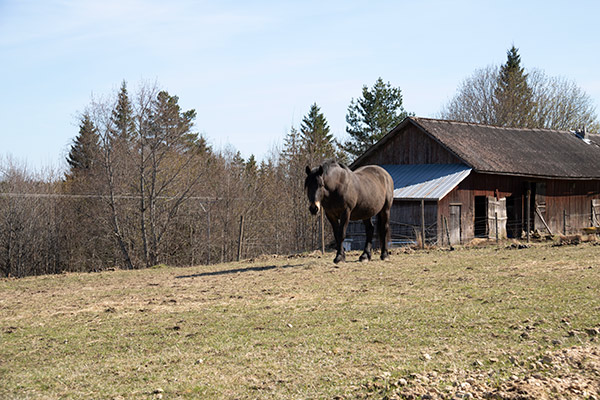 lenungen