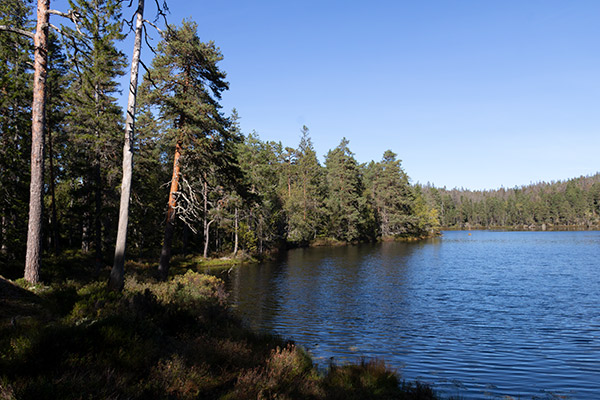 svarthagstjärn