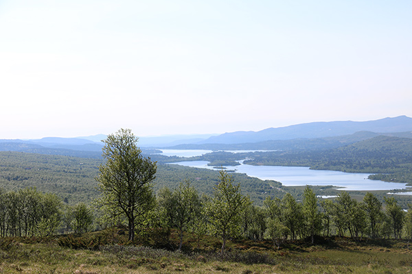 hamrafjället