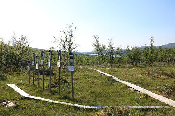hamrafjället