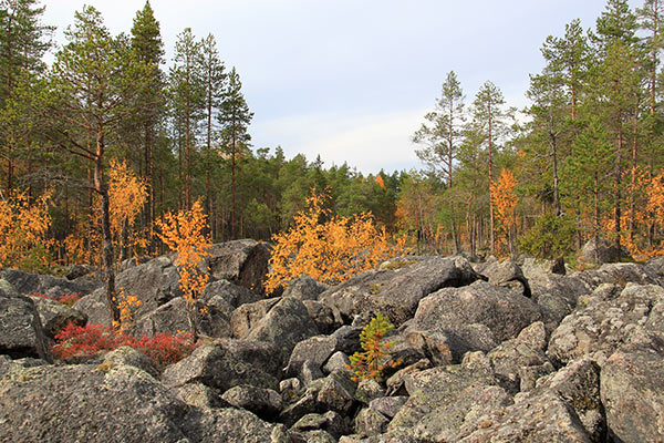 havsvalladalen