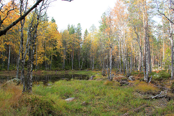 havsvalladalen