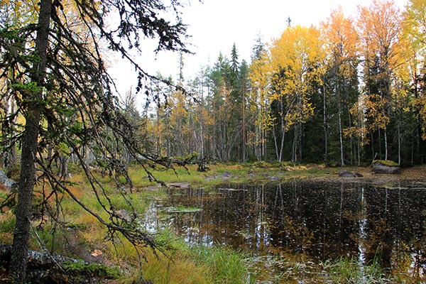 havsvalladalen