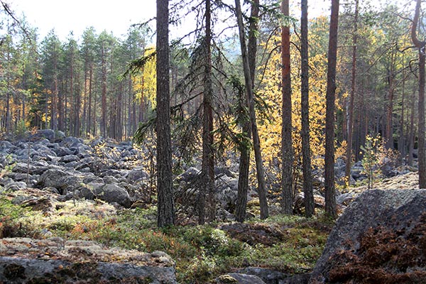 havsvalladalen
