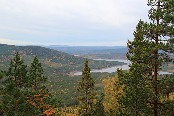 skärknipen