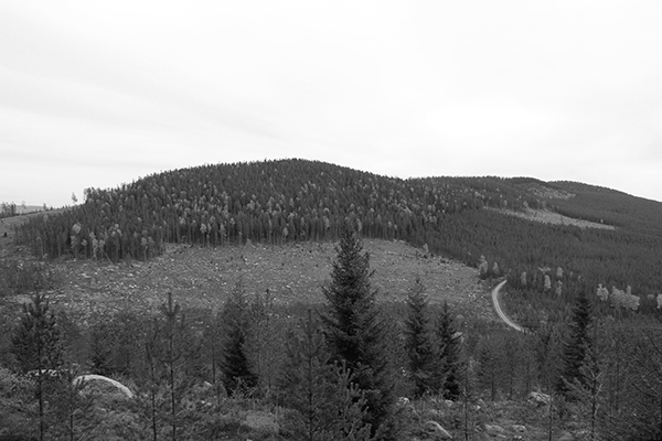 skogsskövling