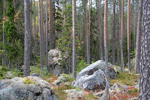 havsvalladalen