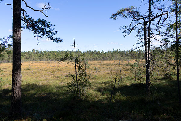 kullefjället