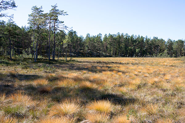 kullefjället
