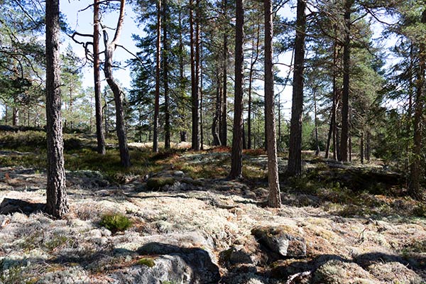 kullefjället