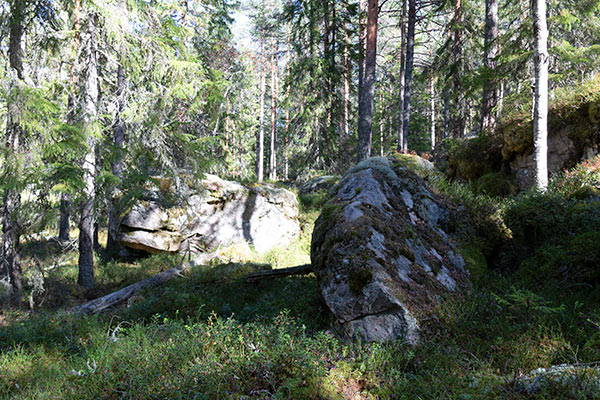 naturskog