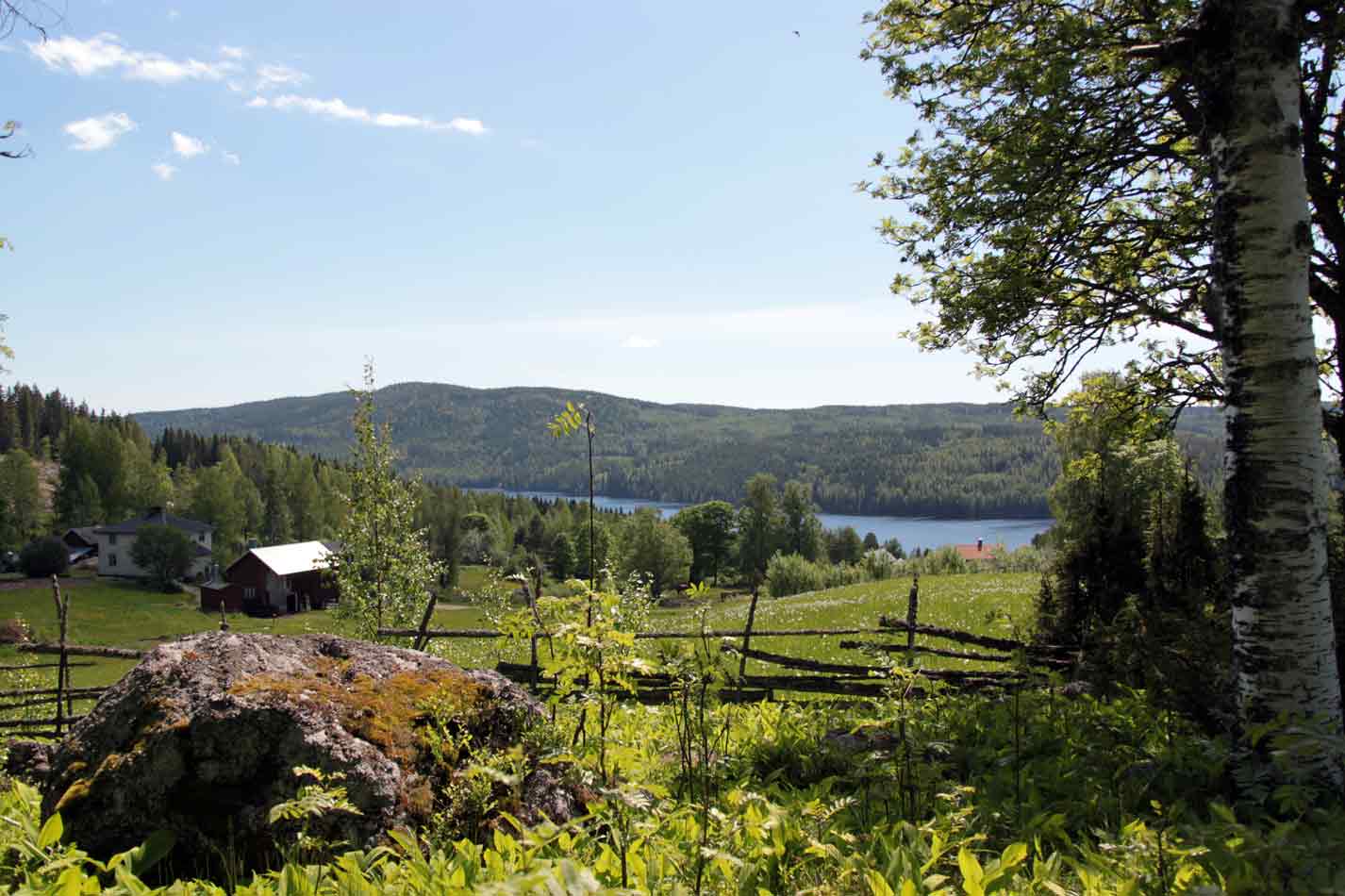 borrsjön