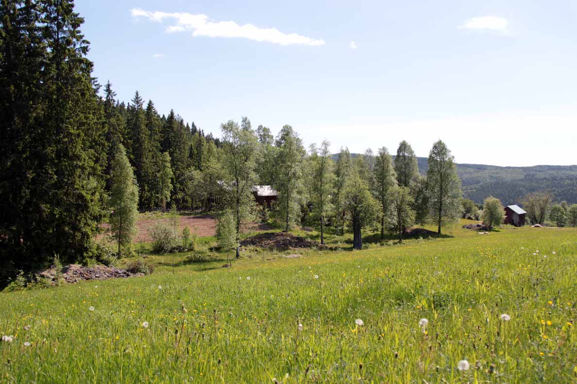 borrsjön